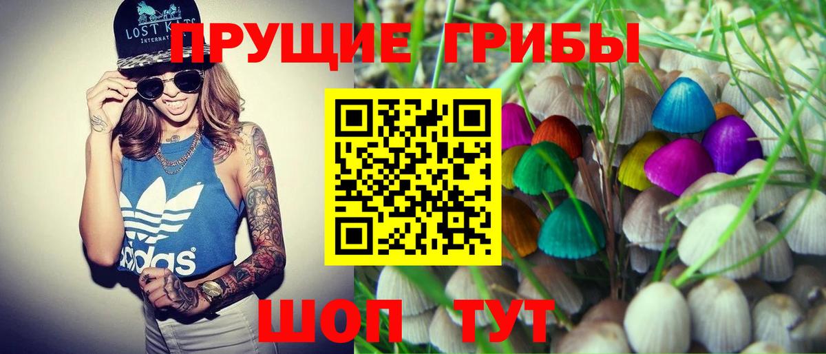 Галлюциногенные грибы GOLDEN TEACHER Воскресенск