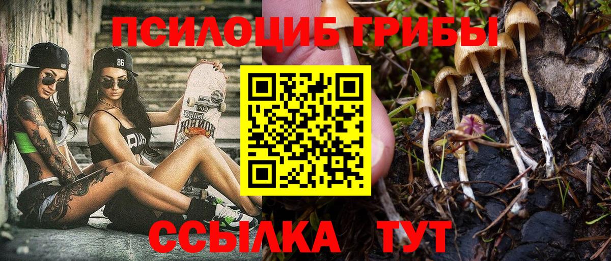 Галлюциногенные грибы GOLDEN TEACHER  Галлюциногенные грибы MAGIC MUSHROOMS  где купить наркоту  Вход с VPN  Воскресенск 